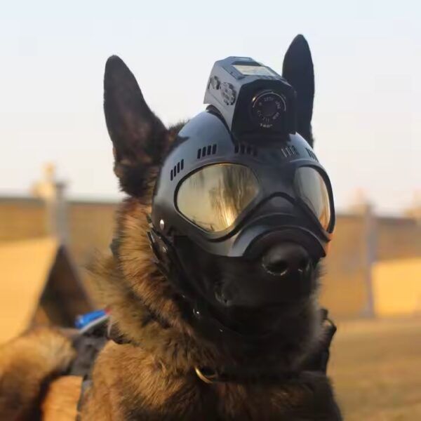4GGPSと2.4GHzWiFiを搭載した軍事戦術ヘルメットカメラ